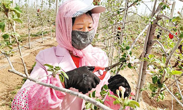 Chinese county finds new ways of getting work for poverty-stricken locals