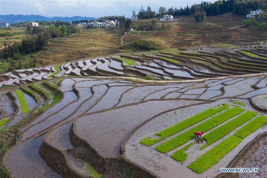 Farmers work in terraced fields in Gongxian, Sichuan