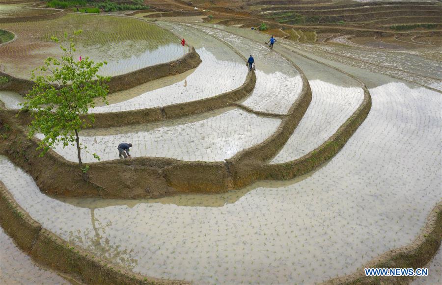 Farmers work in terraced fields in Gongxian, Sichuan