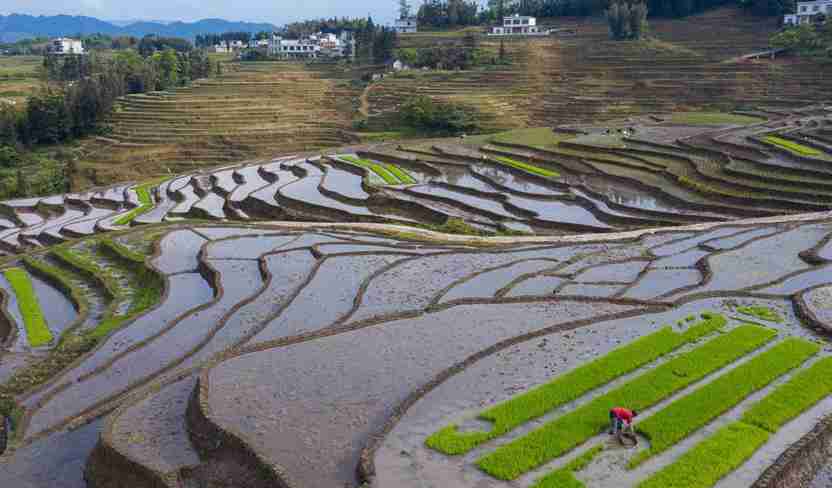 Farmers work in terraced fields in Gongxian