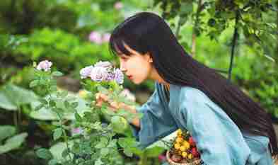 Li Ziqi: Vlogger who amazes world with China's countryside life