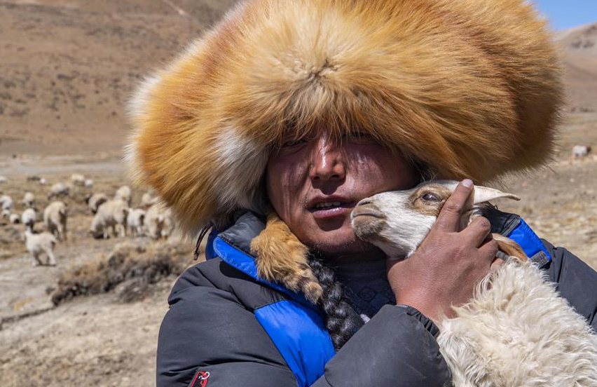 Tibetan Family shakes off poverty