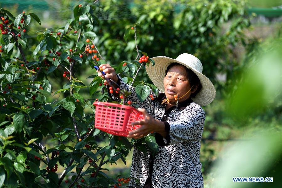 East China township promotes rural tourism to alleviate poverty