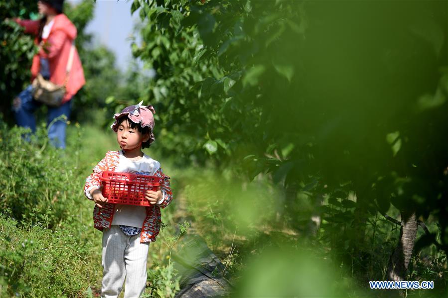 East China township promotes rural tourism to alleviate poverty