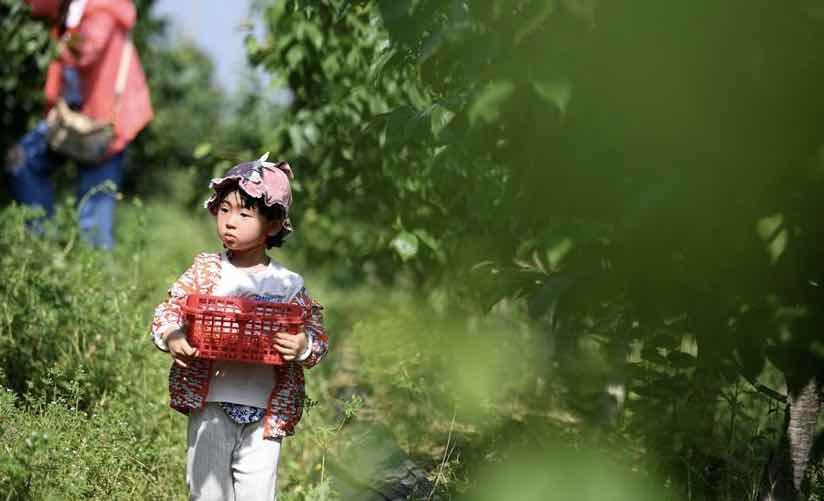 East China township promotes rural tourism to alleviate poverty