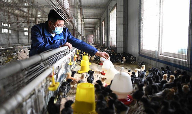 Agricultural cooperative helps villagers increase income