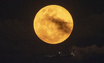 Full moon seen in sky