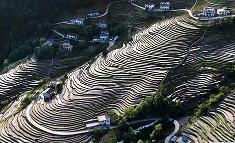 In pics: terraced fields in Shaanxi