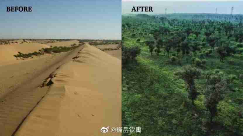 NW China s Shaanxi Province Turns Desert Into Oasis People s Daily Online