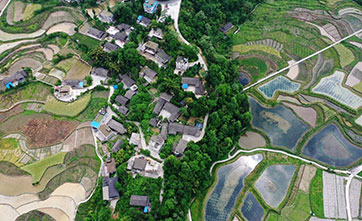 Chongqing’s Wanzhou district achieves green development through ecology-friendly agriculture