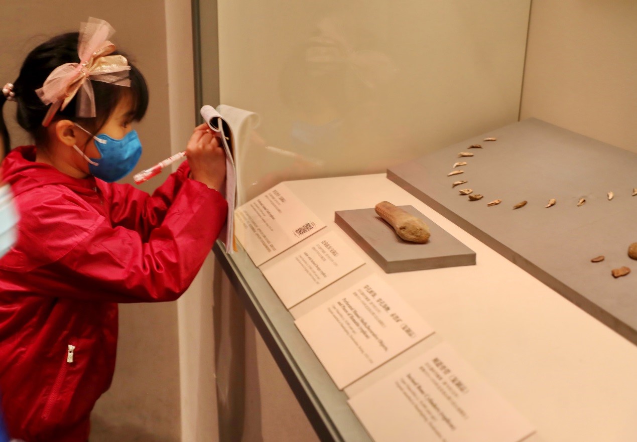 Beijing museums launch online activities to provide interactive experiences for visitors