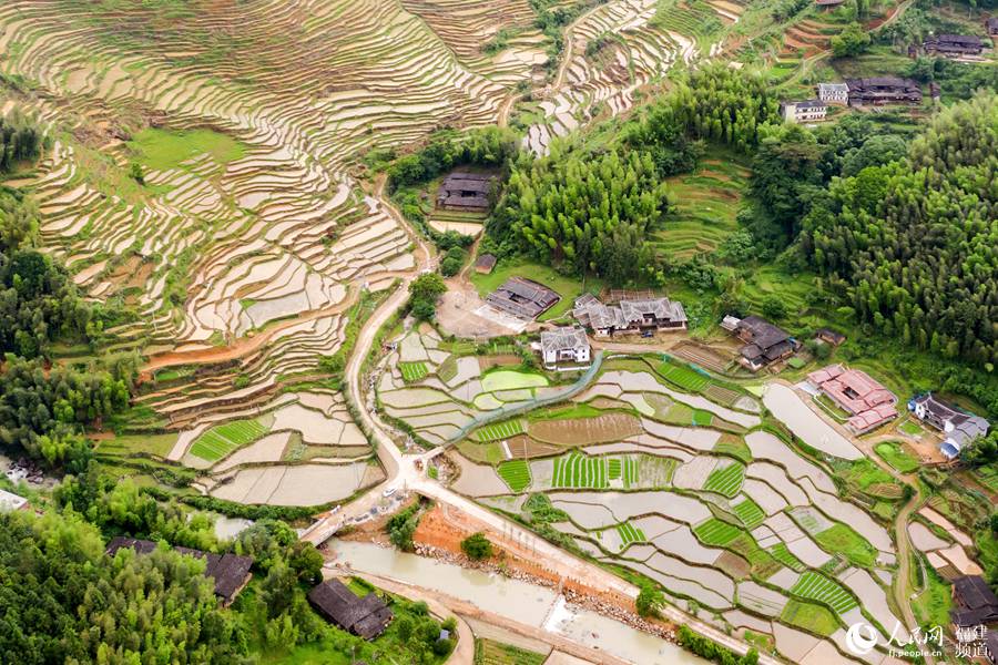 Picturesque terraced paddy fields in SE China’s Fujian