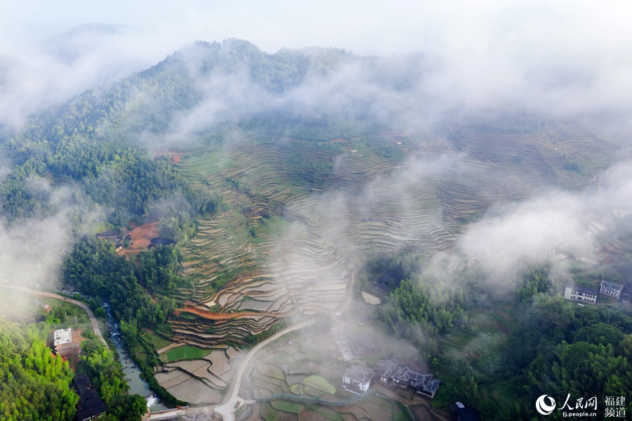 Picturesque terraced paddy fields in SE China’s Fujian