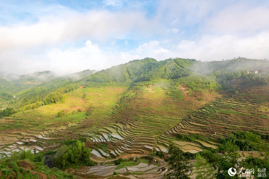 Picturesque terraced paddy fields in SE China’s Fujian