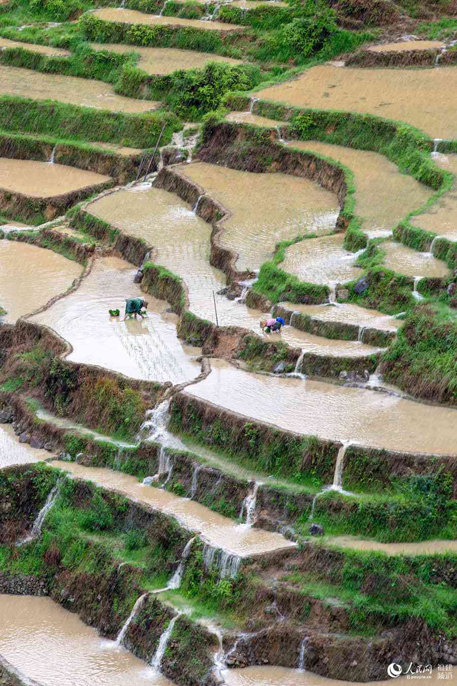 Picturesque terraced paddy fields in SE China’s Fujian