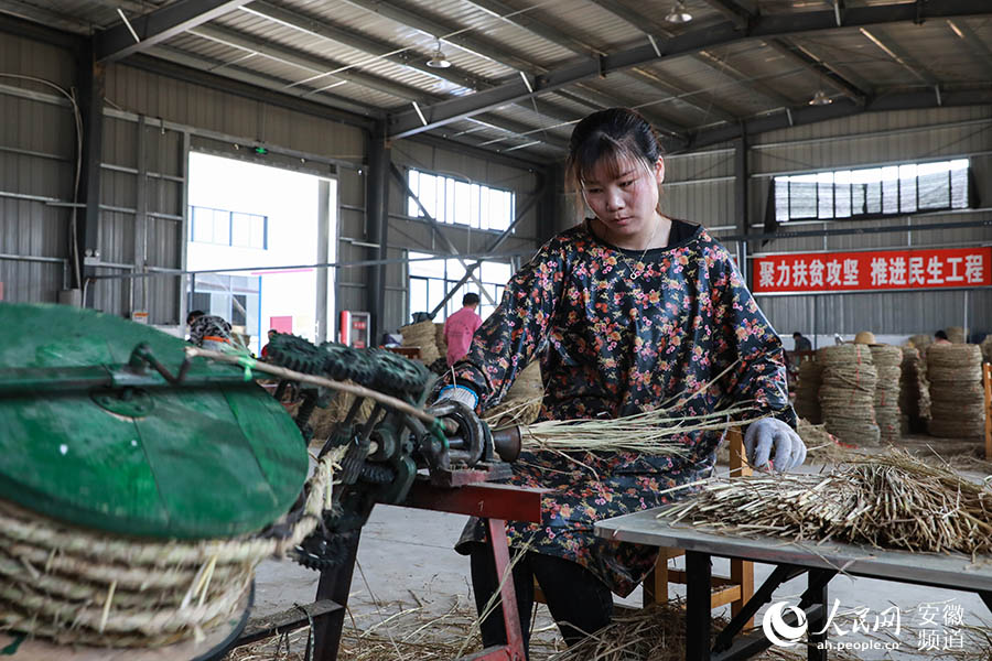 Bengbu city achieves significant results in poverty alleviation with industry development