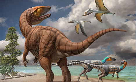 Largest species of Asianopodus footprints found in Xinjiang