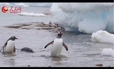 World Oceans Day