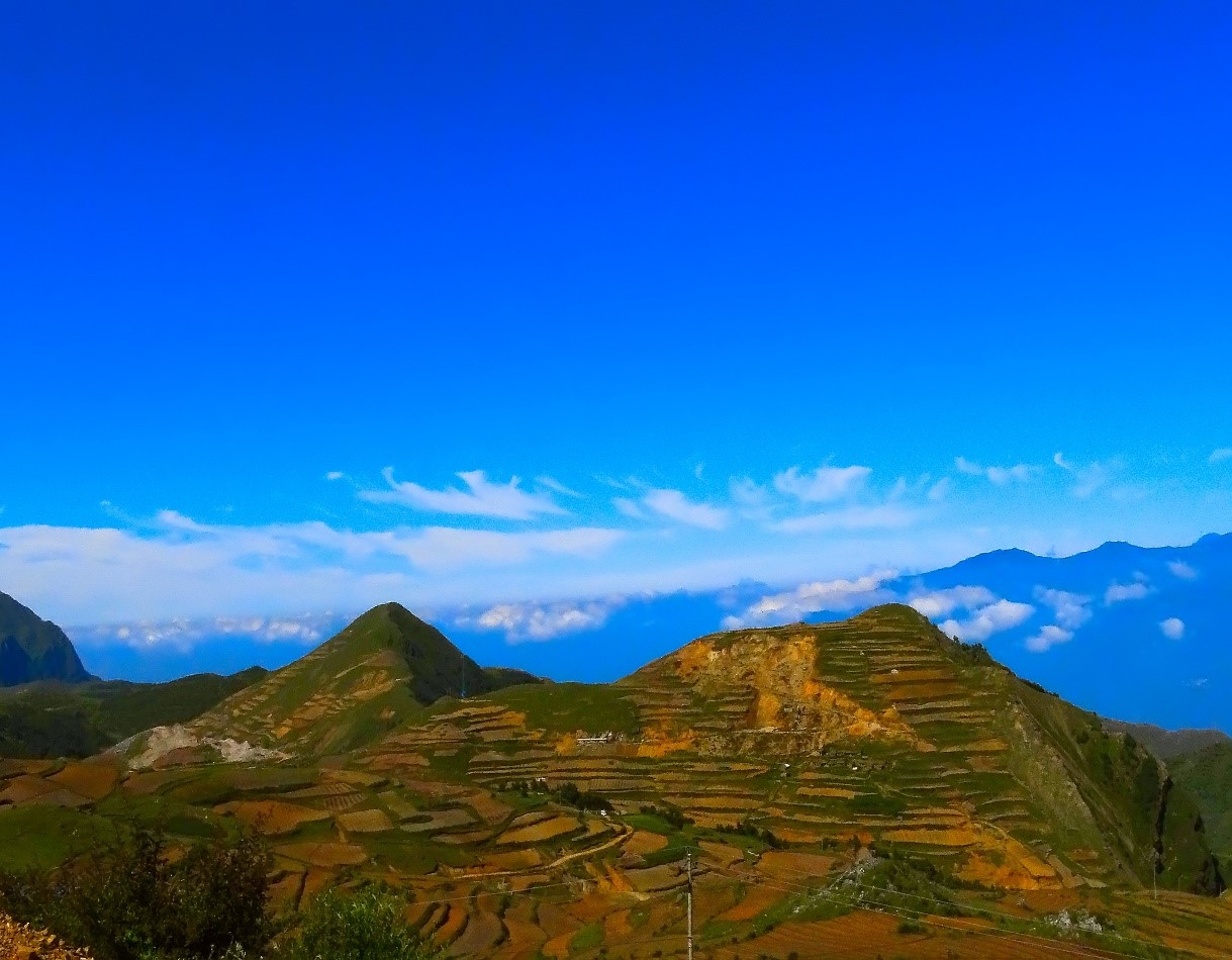 New oat varieties alleviating poverty in SW China's Wumeng Mountain range