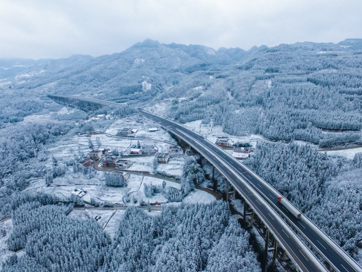 New oat varieties alleviating poverty in SW China's Wumeng Mountain range