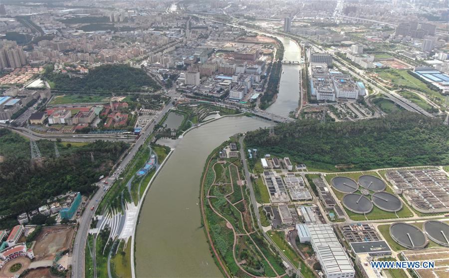 Environment improves after pollution treatment of Maozhou River in Shenzhen