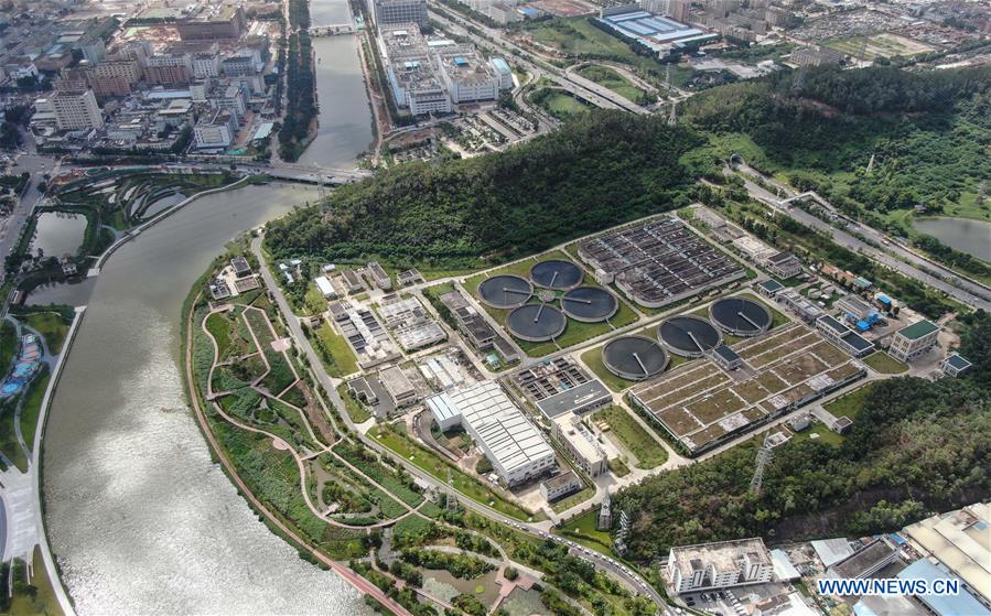 Environment improves after pollution treatment of Maozhou River in Shenzhen