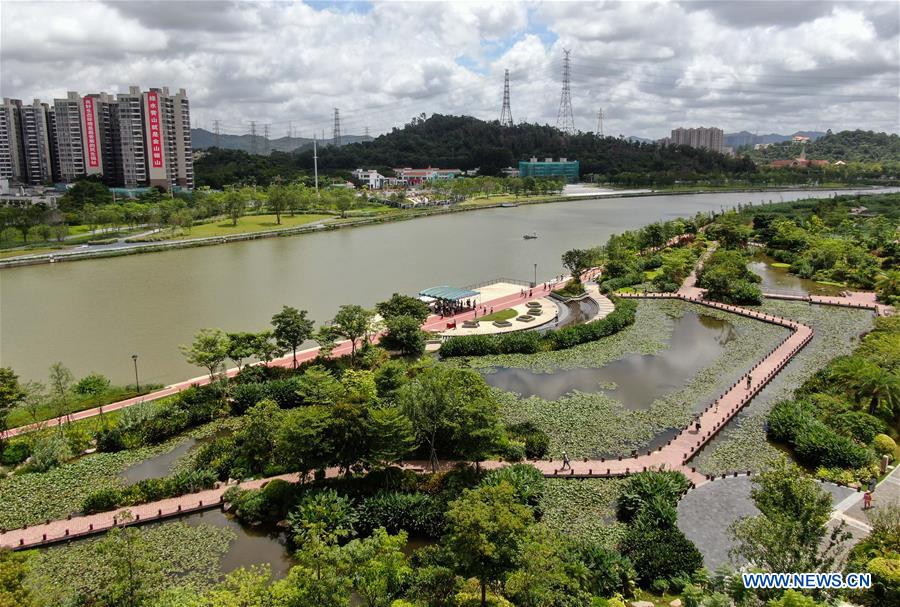 Environment improves after pollution treatment of Maozhou River in Shenzhen