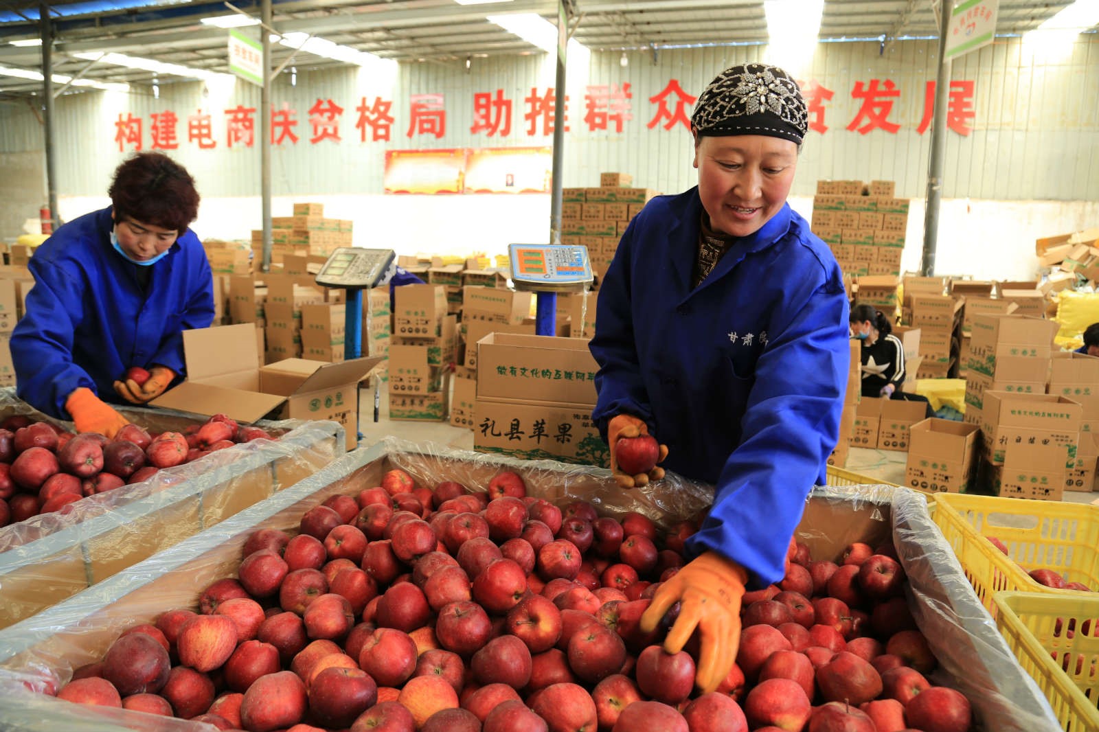 Internet-empowered poverty relief revitalizes rural China
