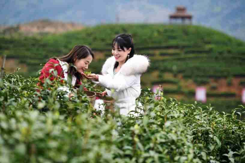 Ecological evaluation system brings new look to East China’s Jiangxi