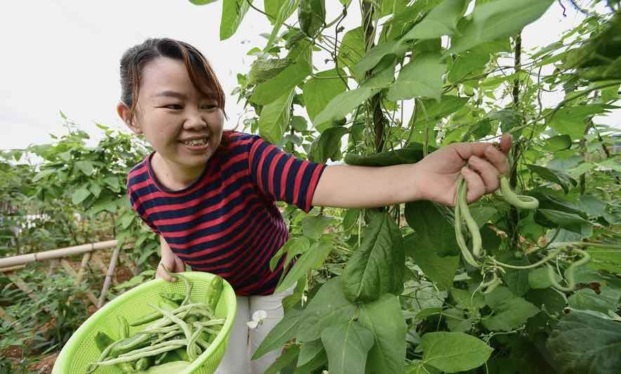 Living standards of poverty-stricken residents improved in Songtao, Guizhou