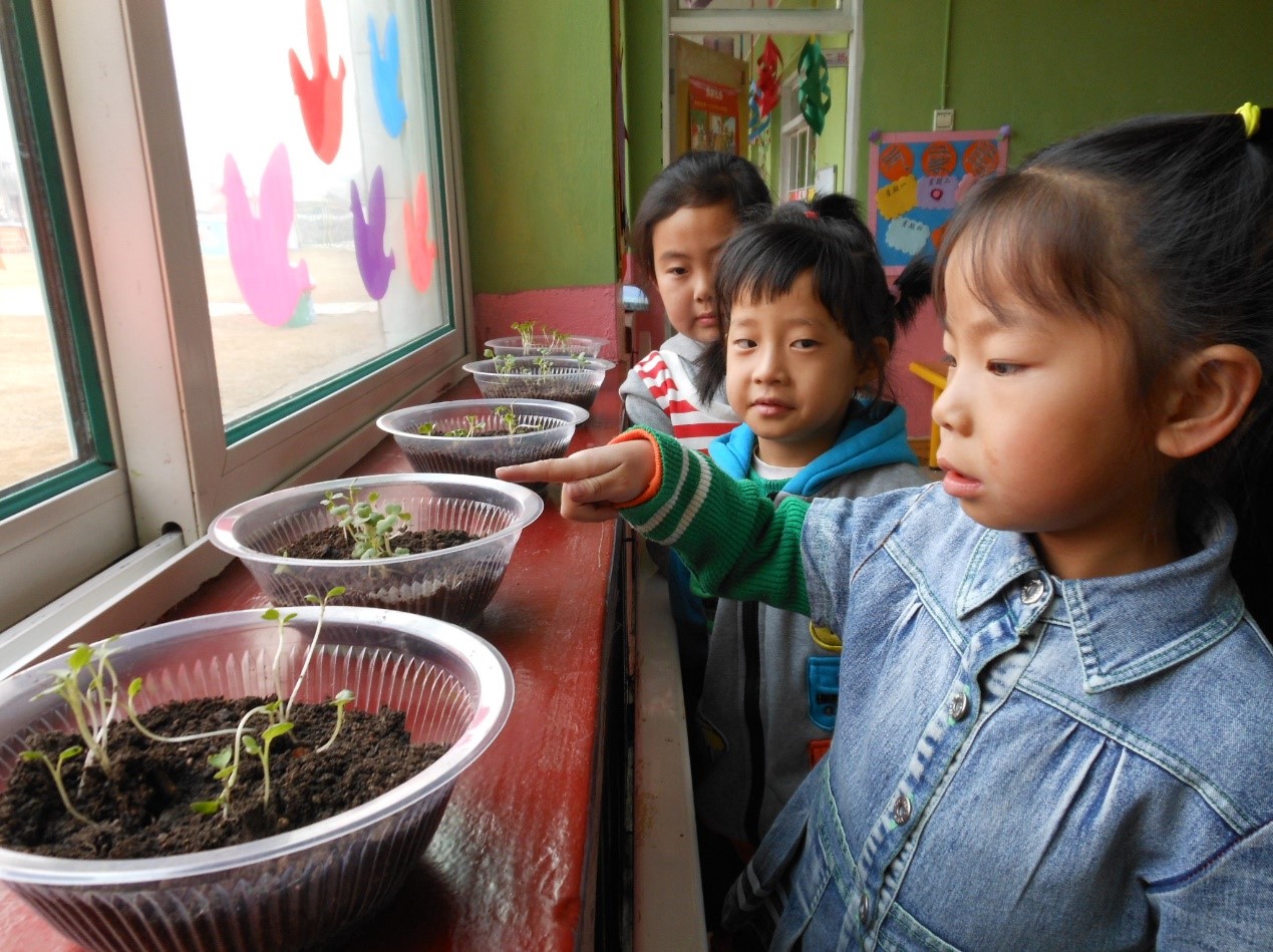 Chinese people's enthusiasm for vegetable growing