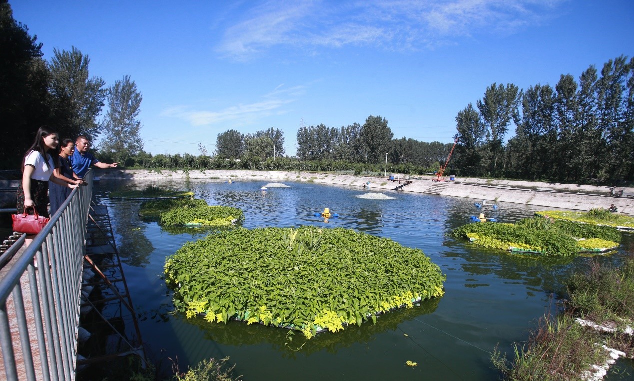 Chinese people's enthusiasm for vegetable growing