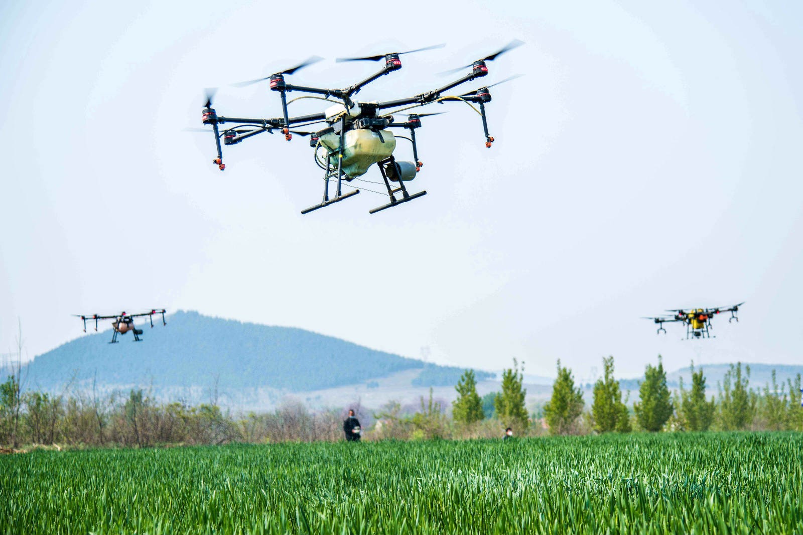 Smart agricultural technologies help reduce costs, increase income for farmers in E China’s Shandong