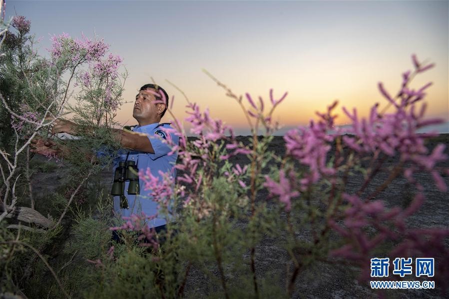 Ranger patrols Ebi Lake in NW China’s Xinjiang, witnesses ecological improvement