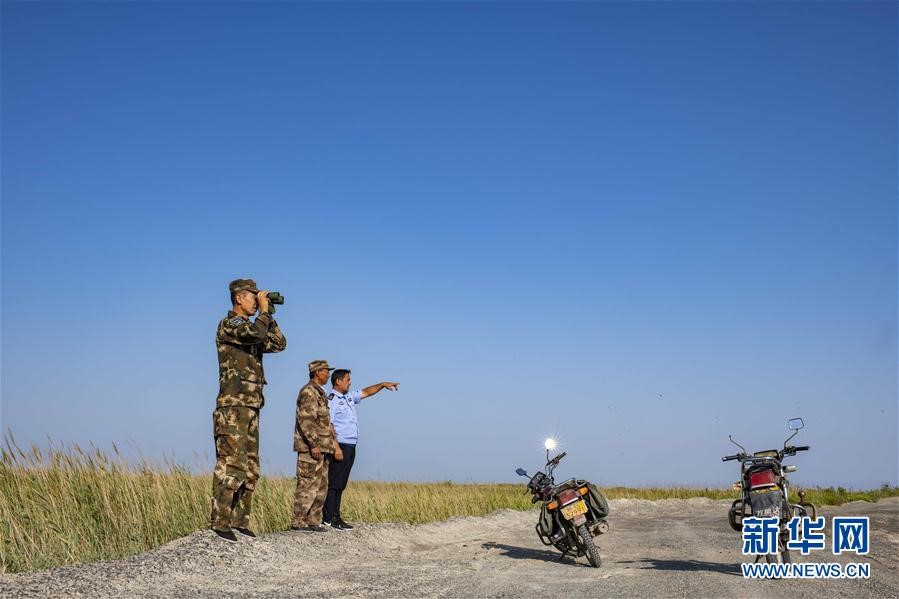 Ranger patrols Ebi Lake in NW China’s Xinjiang, witnesses ecological improvement