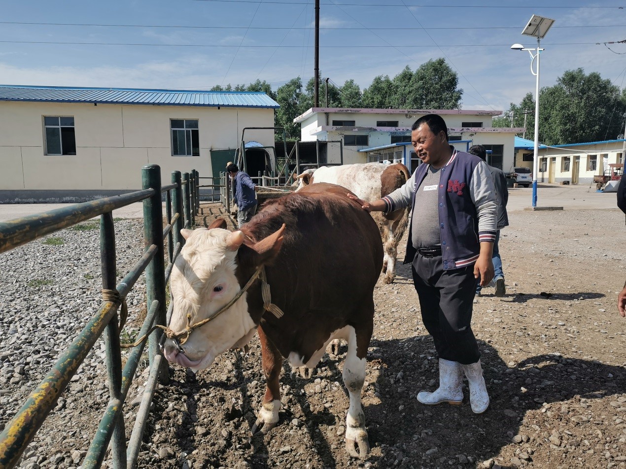 “I just happen to live in a great era” - story of a Chinese cattle dealer fighting poverty