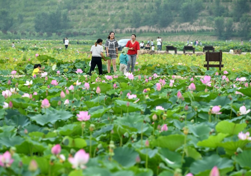 Methods for measuring gross ecosystem product help China better improve ecological civilization