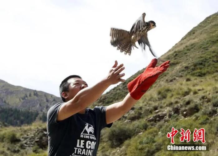 Official in NW China engages in saving wildlife for almost 10 years