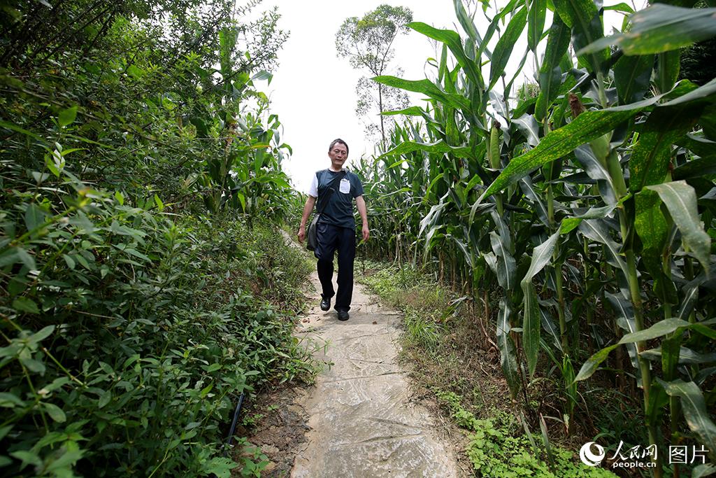 With only six employees, small railway station in SW China’s Chongqing continues to run smoothly