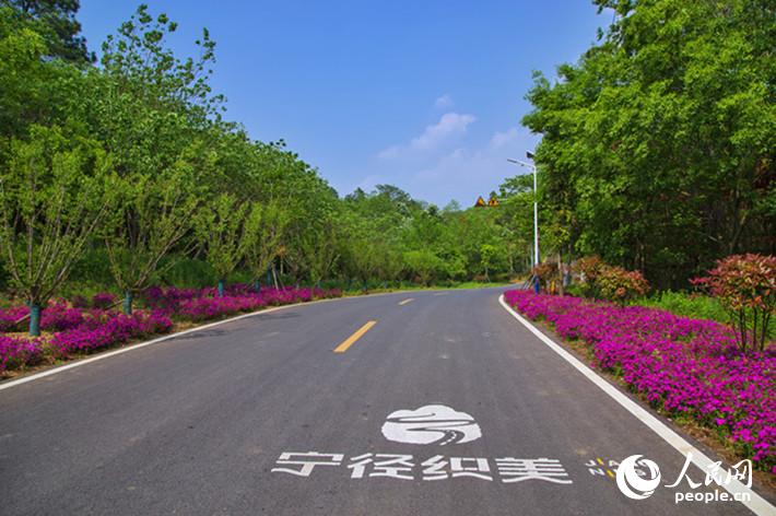 Zigzag mountain road with 38 curves becomes internet sensation