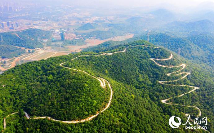 Zigzag mountain road with 38 curves becomes internet sensation