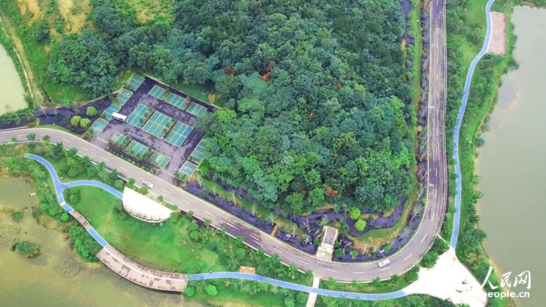 Zigzag mountain road with 38 curves becomes internet sensation