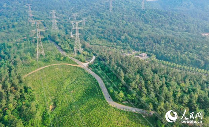Zigzag mountain road with 38 curves becomes internet sensation