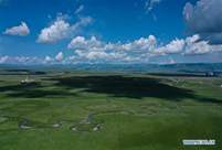 View of Jinyintan grasslands in Qinghai 