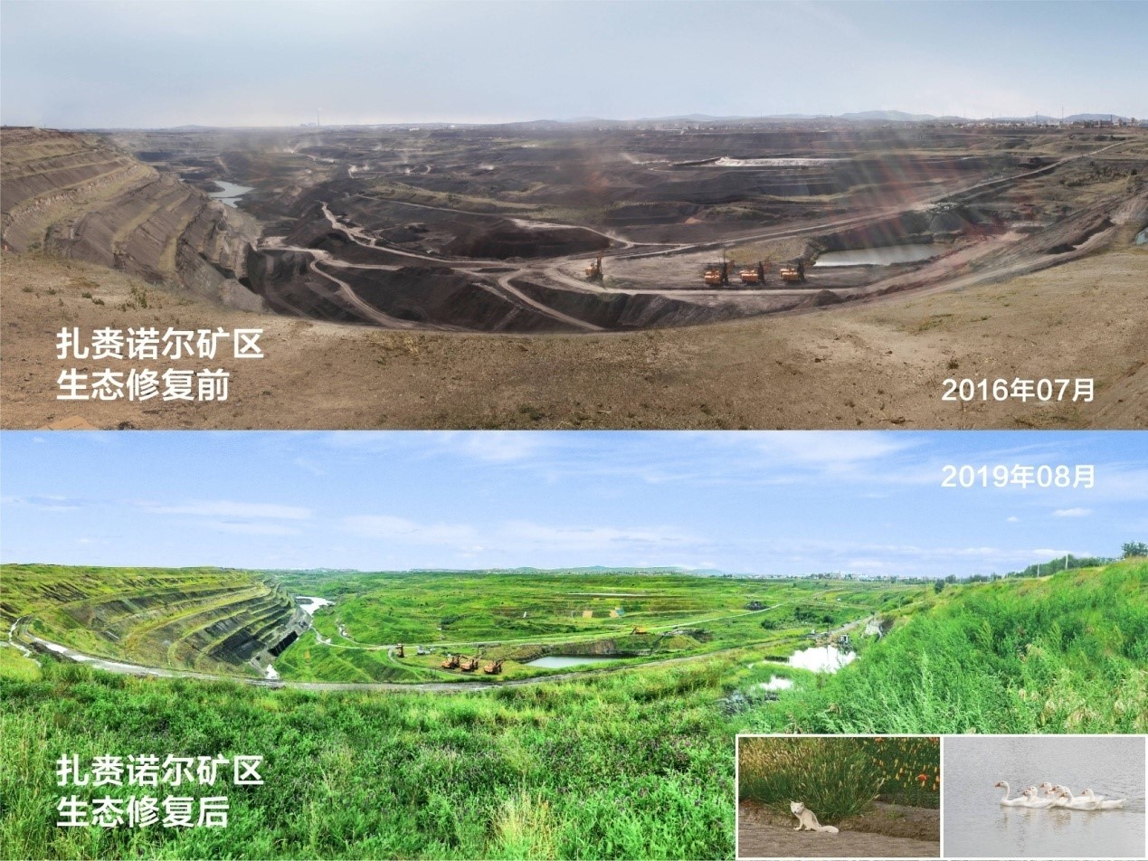 China's Inner Mongolia strives to combat desertification, improve ecological environment