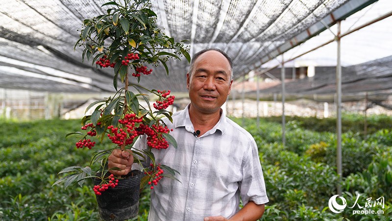 County in SE China’s Fujian develops under-forest industries to shake off poverty