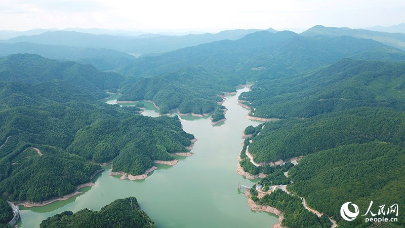 County in SE China’s Fujian develops under-forest industries to shake off poverty