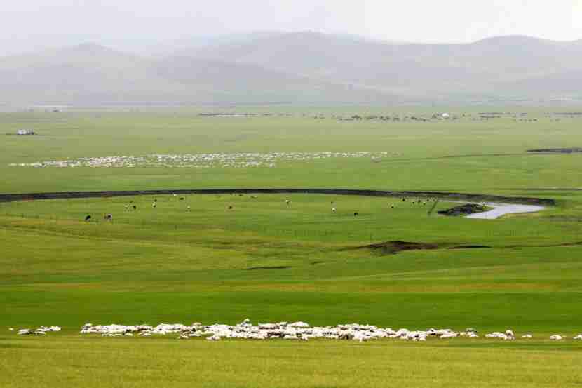 Inner Mongolia village embraces new life, strikes balance between husbandry, ecology
