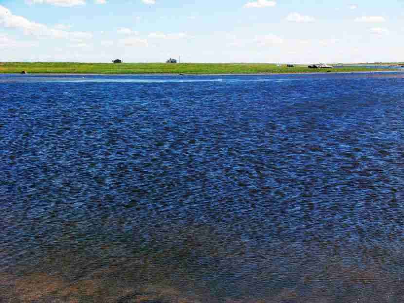 Inner Mongolia village embraces new life, strikes balance between husbandry, ecology