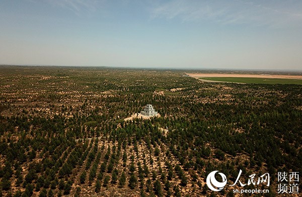 NW China’s Shaanxi province turns Mu Us Desert into green land